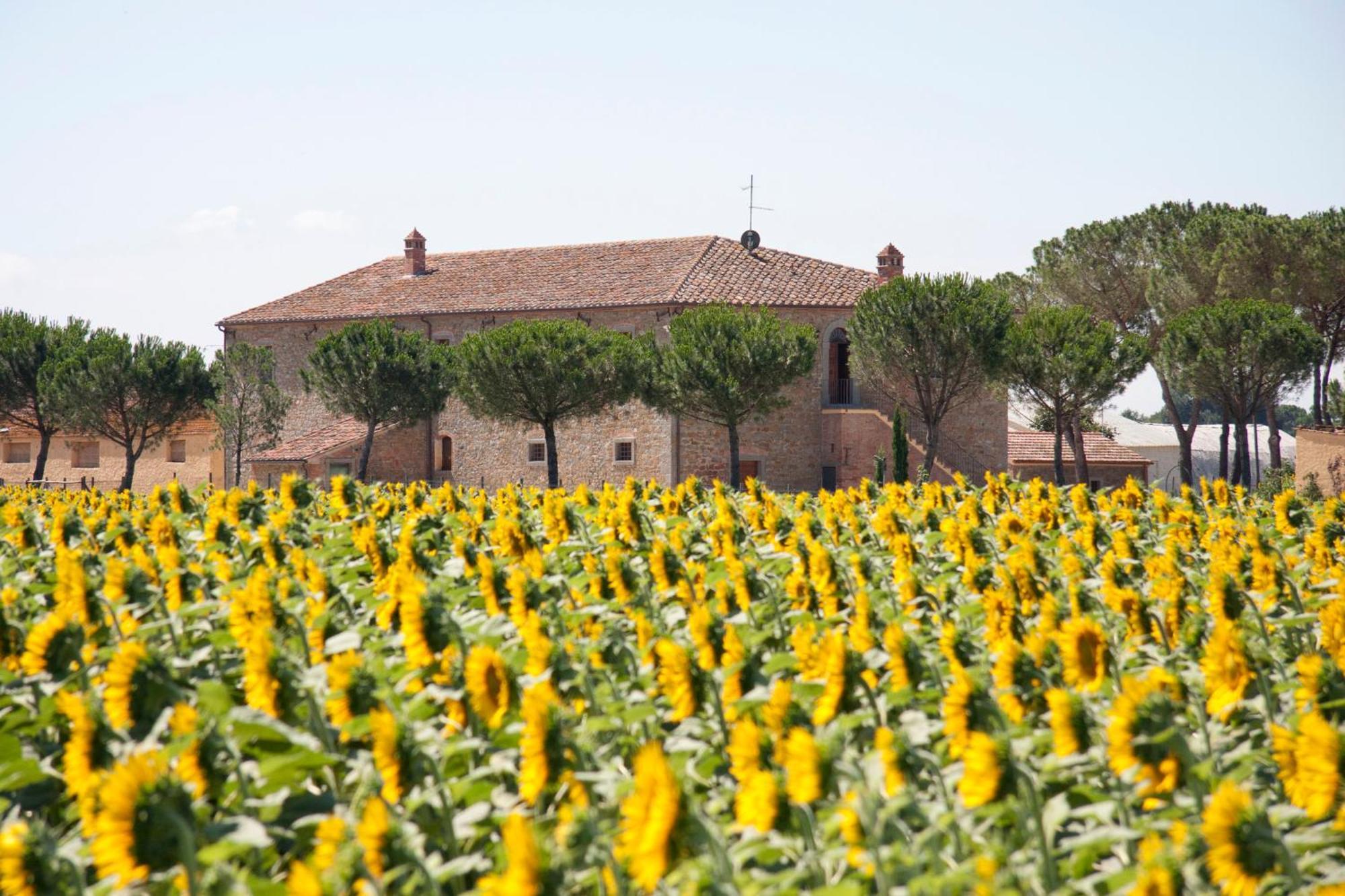 Terra Di Cortona Villa Bagian luar foto